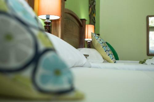 Hotel Caribbean Paradise Eco-lodge