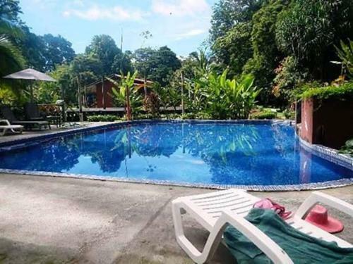 Hotel Caribbean Paradise Eco-lodge