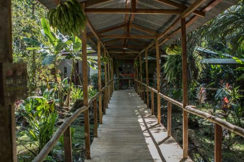 Hotel Caribbean Paradise Eco-lodge