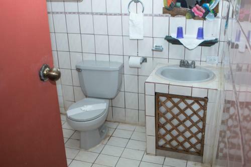 Hotel Caribbean Paradise Eco-lodge