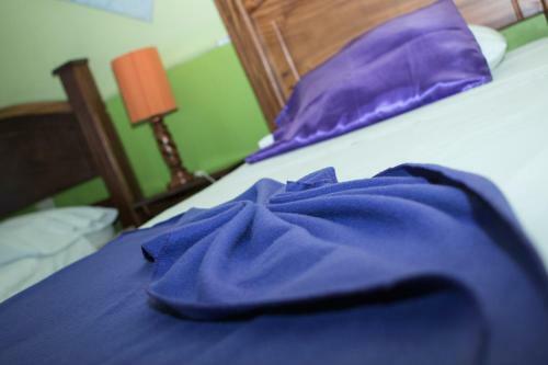 Hotel Caribbean Paradise Eco-lodge