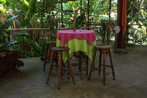 Hotel Caribbean Paradise Eco-lodge