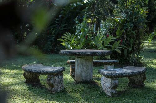 Hotel Caribbean Paradise Eco-lodge