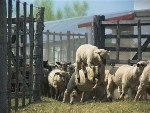 Agroturismo Estancia Hosteria El Ceibo