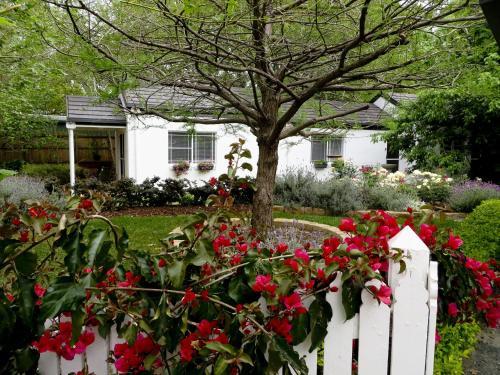 Agroturismo Homewood Cottages