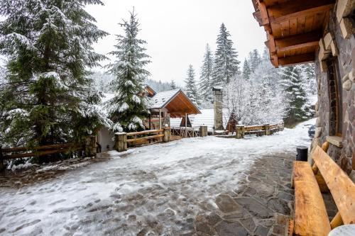 Hotel Karpatska Villa