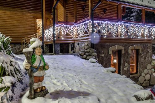 Hotel Karpatska Villa