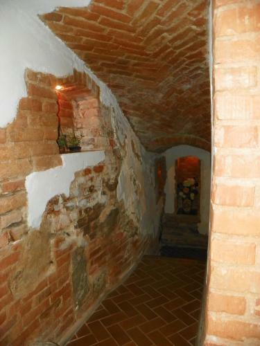 Hostal Guest House Novus Rex