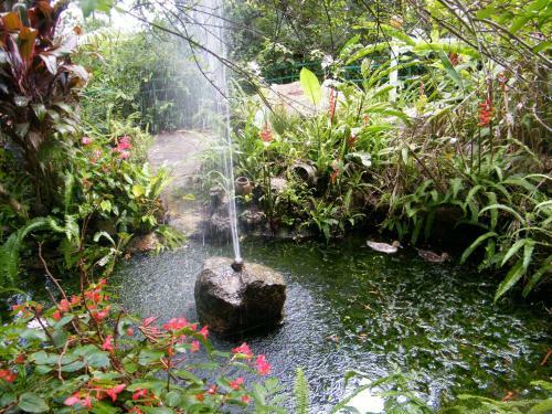 Lake Eacham Tourist Park & Cabins