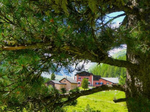 Agroturismo Hotel Roseg-gletscher