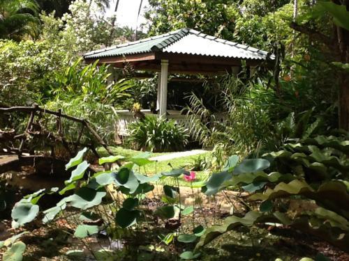 Hostal Leijay Resort