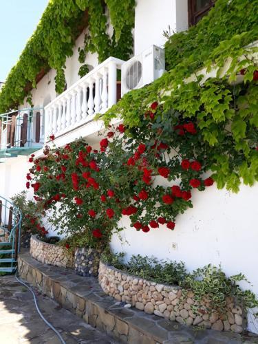 Hotel Gamartata