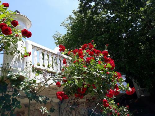 Hotel Gamartata