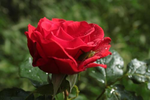 Hostal Chiesa Di Ignano 1778