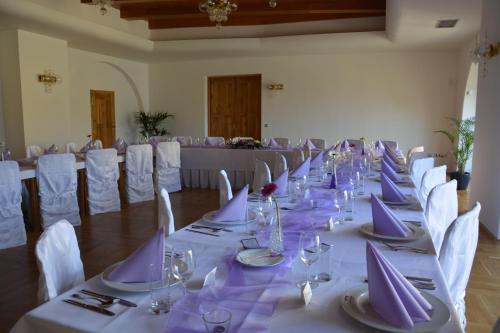 Hotel Z�mek Velk� Byst?ice