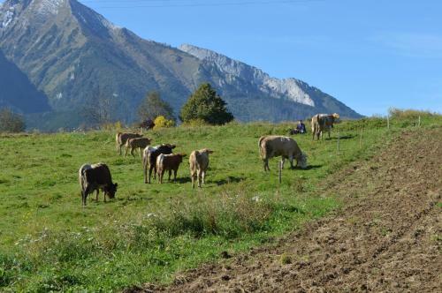 Agroturismo Dreveni?ka Na Gazdovskom Dvore