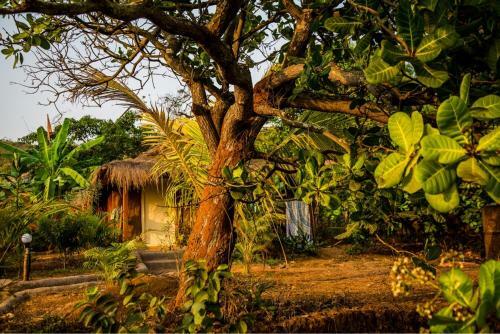 Hotel Banyan Tree Yoga