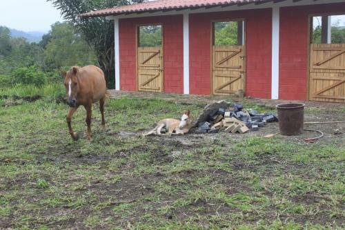 Agroturismo Finca Hoster�a Bella Aurora
