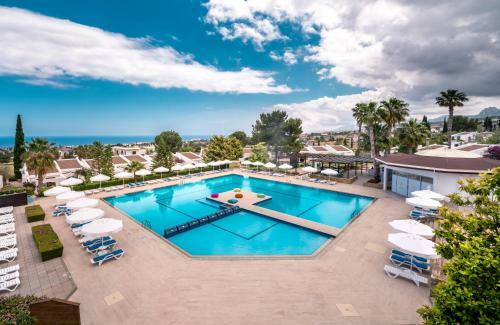 The Olive Tree Hotel