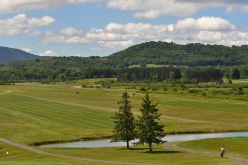 Hotel Canaan Valley Resort State Park