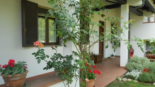B&B Come A Casa