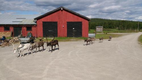 Agroturismo Vestre Sorken Feriegard