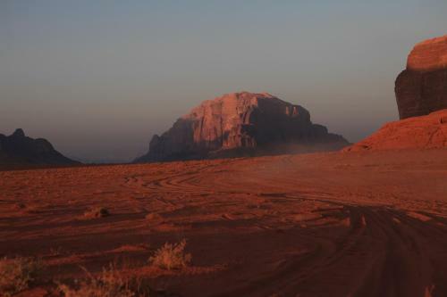 The Bedouin Meditation Camp