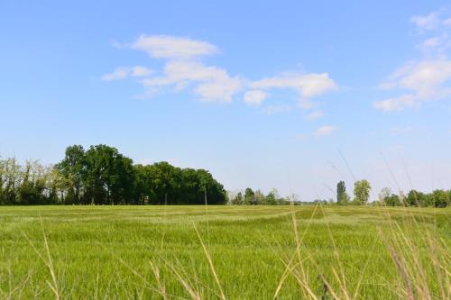 Agroturismo Agriturismo Cascina Mora