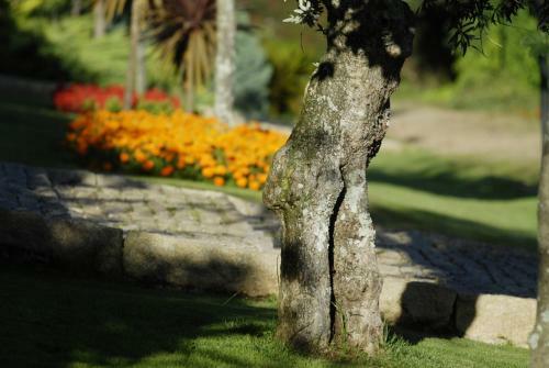 Agroturismo Quinta De Santa Teresinha