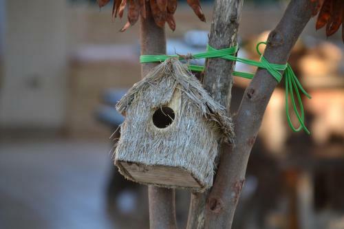 Bed & Breakfast Trulli Gallo Rosso