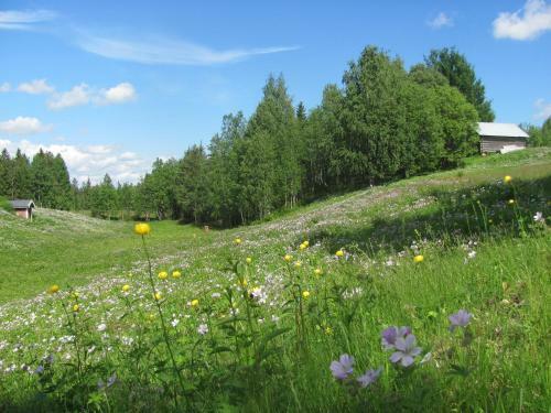 Agroturismo Kieringin Lomakyl�