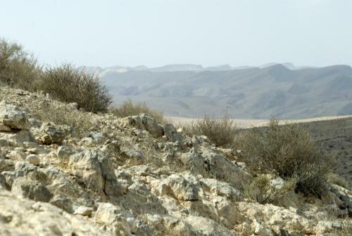 Albergue Negev Camel Ranch