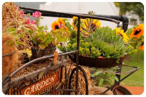 Agroturismo Kweekkraal Guest Farm