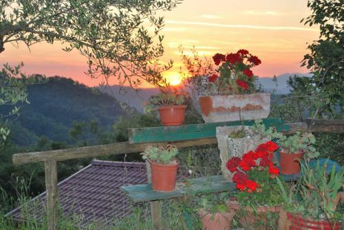 Hostal Agriturismo Cisogna