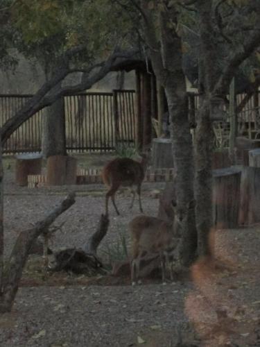Agroturismo Mon Repos Guest Farm