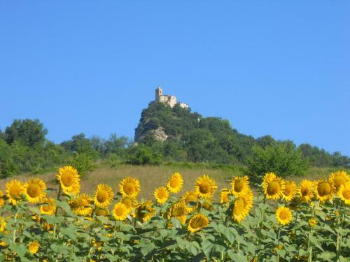 Agroturismo Agriturismo Le Castellare