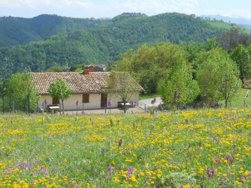 Agroturismo Agriturismo Le Castellare