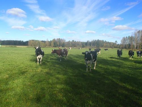 Agroturismo Maatilamatkailu Per�kangas