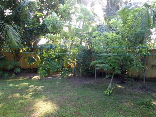 Nature Villa