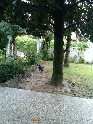 Bed & Breakfast Casa Irene