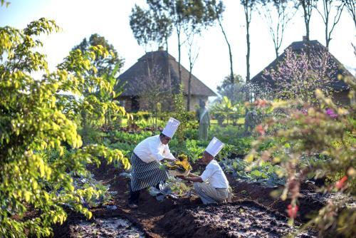 Hotel Exploreans Ngorongoro Lodge - All Inclusive