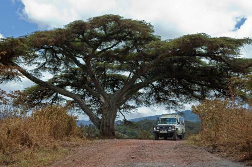 Hotel Exploreans Ngorongoro Lodge - All Inclusive
