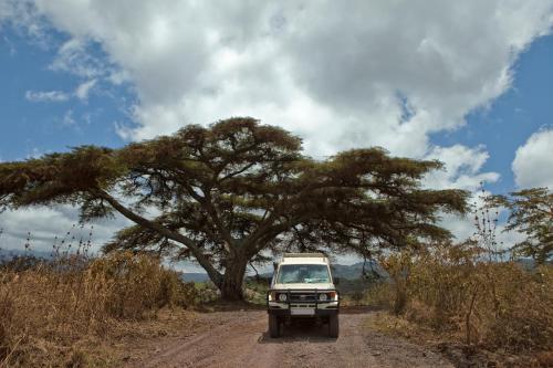 Hotel Exploreans Ngorongoro Lodge - All Inclusive