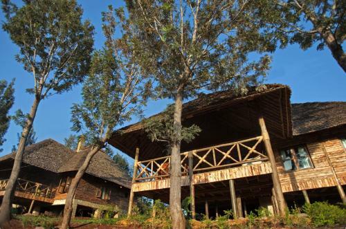 Hotel Exploreans Ngorongoro Lodge - All Inclusive