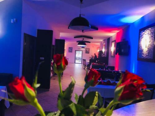 Motel-restauracja Ballaton