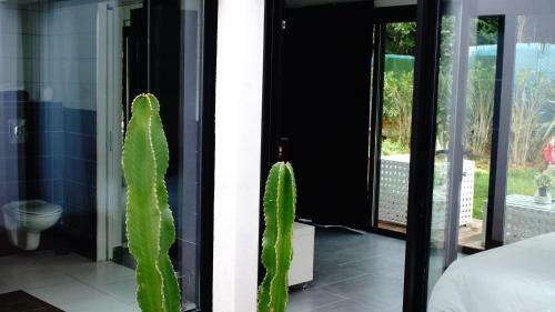 Bed & Breakfast La Villa Blanche