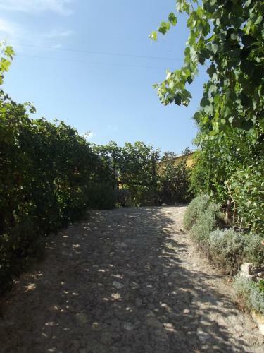 Agroturismo Agriturismo Aspettando Il Sole