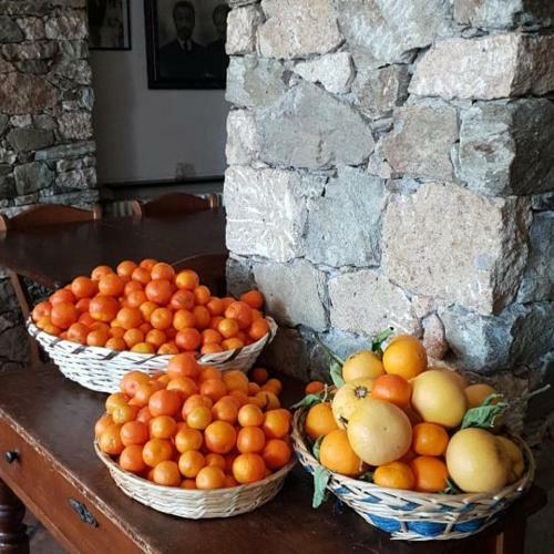 Agroturismo Agriturismo Aspettando Il Sole