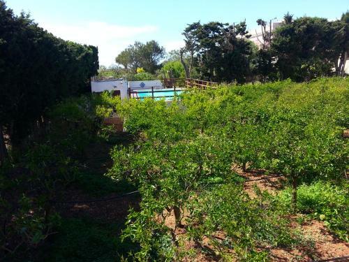 Agroturismo Baglio Span� - Antiche Dimore Di Sicilia