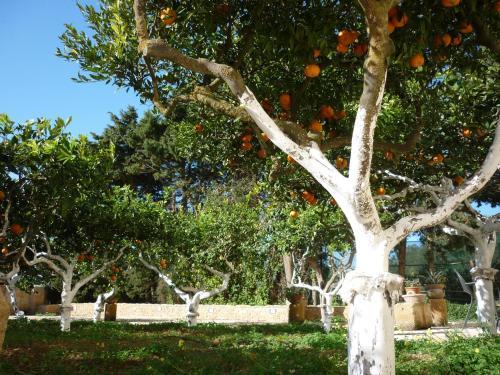 Agroturismo Baglio Span� - Antiche Dimore Di Sicilia